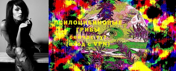 гидра Балахна