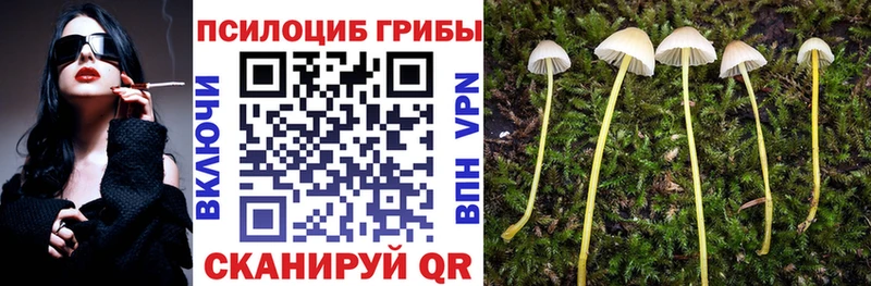 Галлюциногенные грибы ЛСД Кувандык